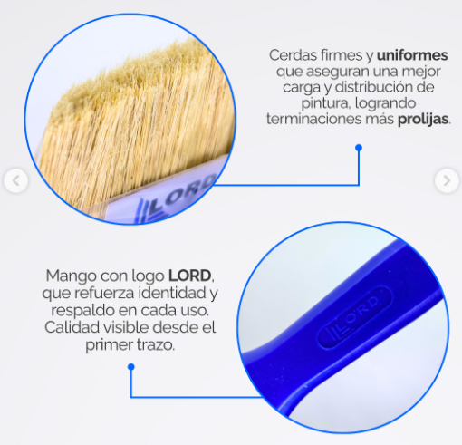 pincel 1 pulgada Lord 25,4mm Cerdas firmes y uniformes - Imagen 2